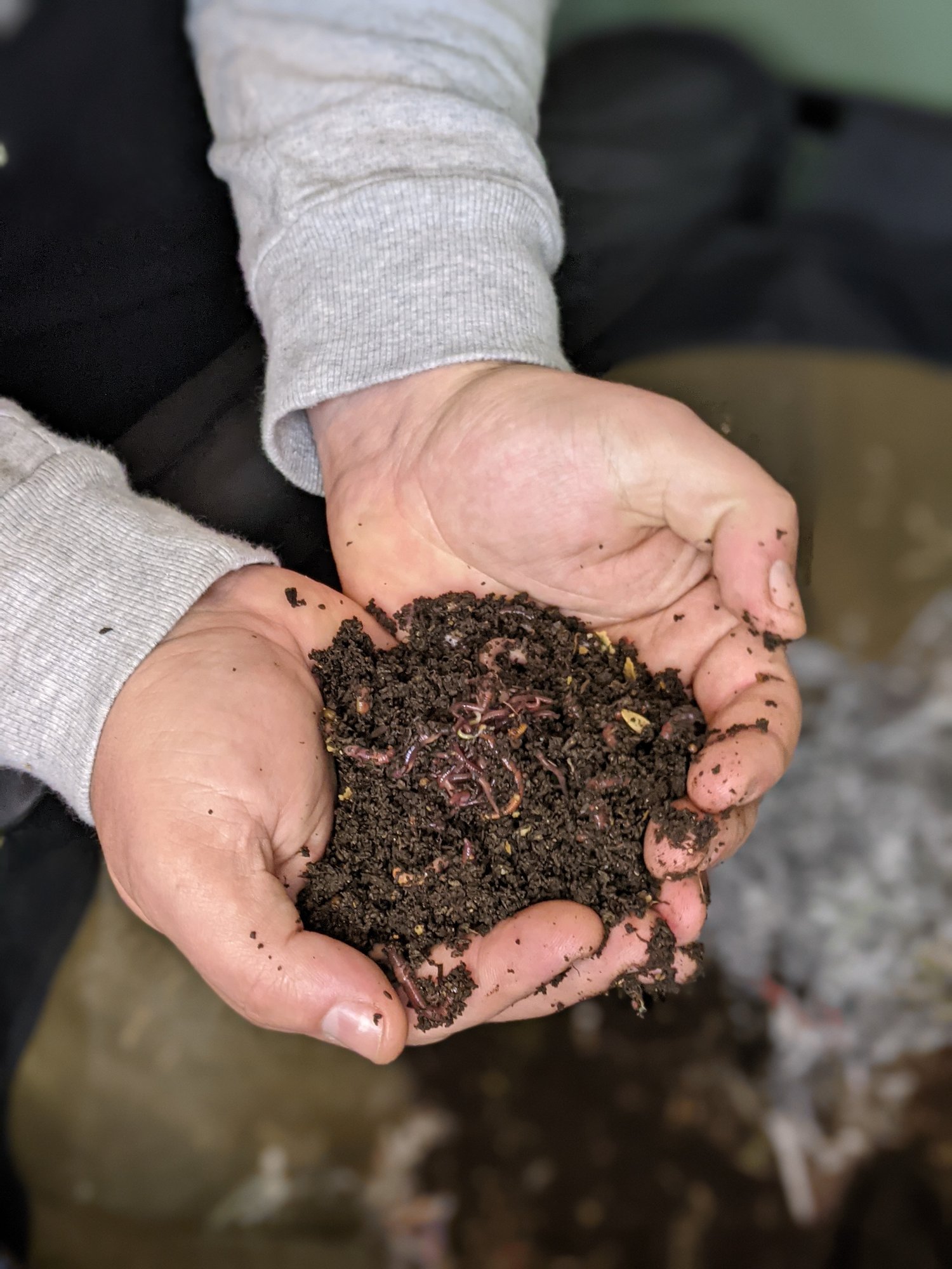 soil regeneration soil regeneration
