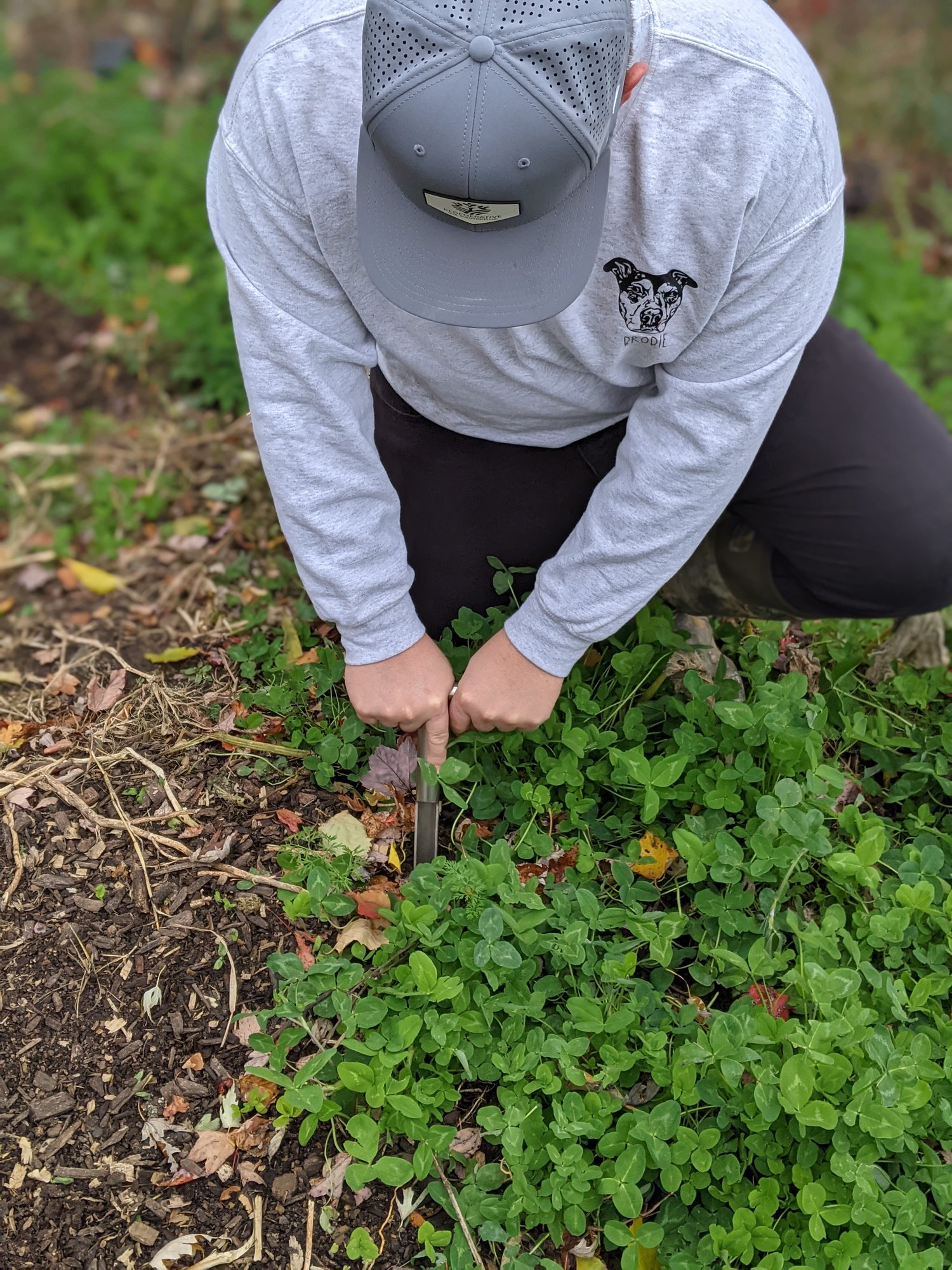 Soil Testing